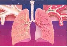 patogenez-astmy