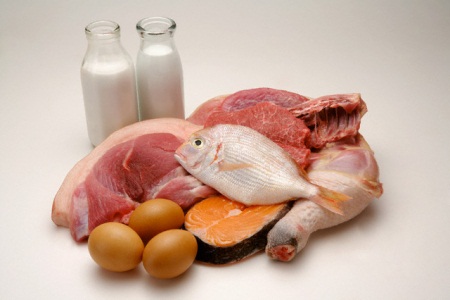 protein-sources