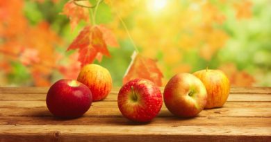 apples-fall-astro