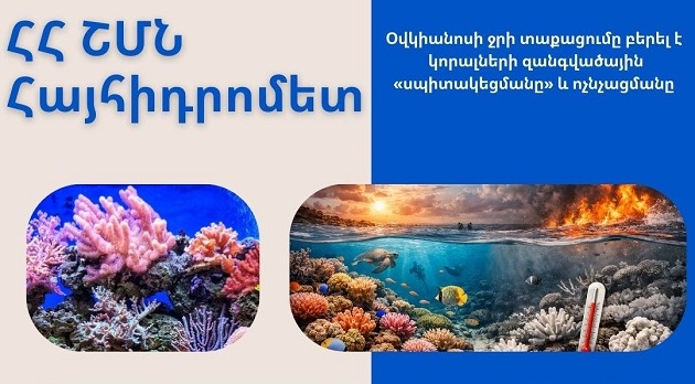 Օվկիանոսի ջրի տաքացումը բերել է կորալների զանգվածային «սպիտակեցմանը» և ոչնչացմանը